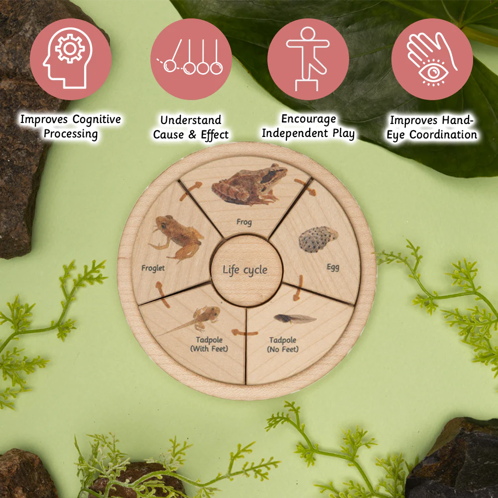 Life Cycle Puzzle - Oviparous